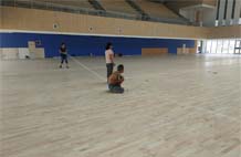 亞強體育施工案例:室內木地板,